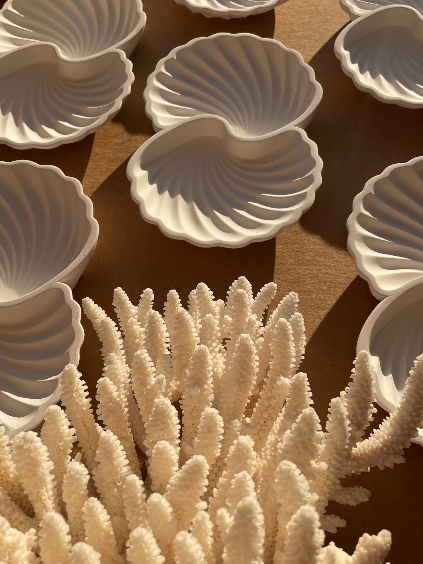 Sea Shell Trinket Tray